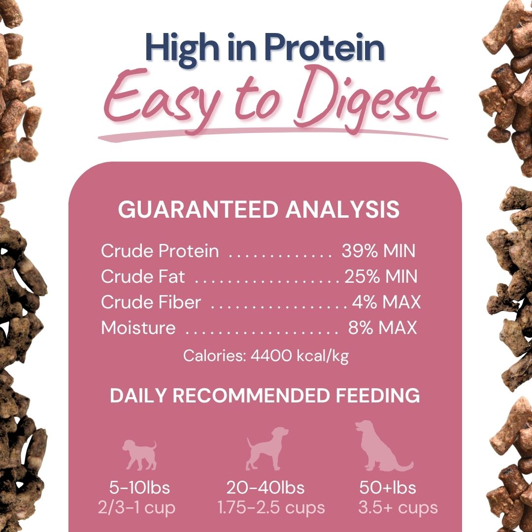 Lamb + Salmon Meal Bites - Dog