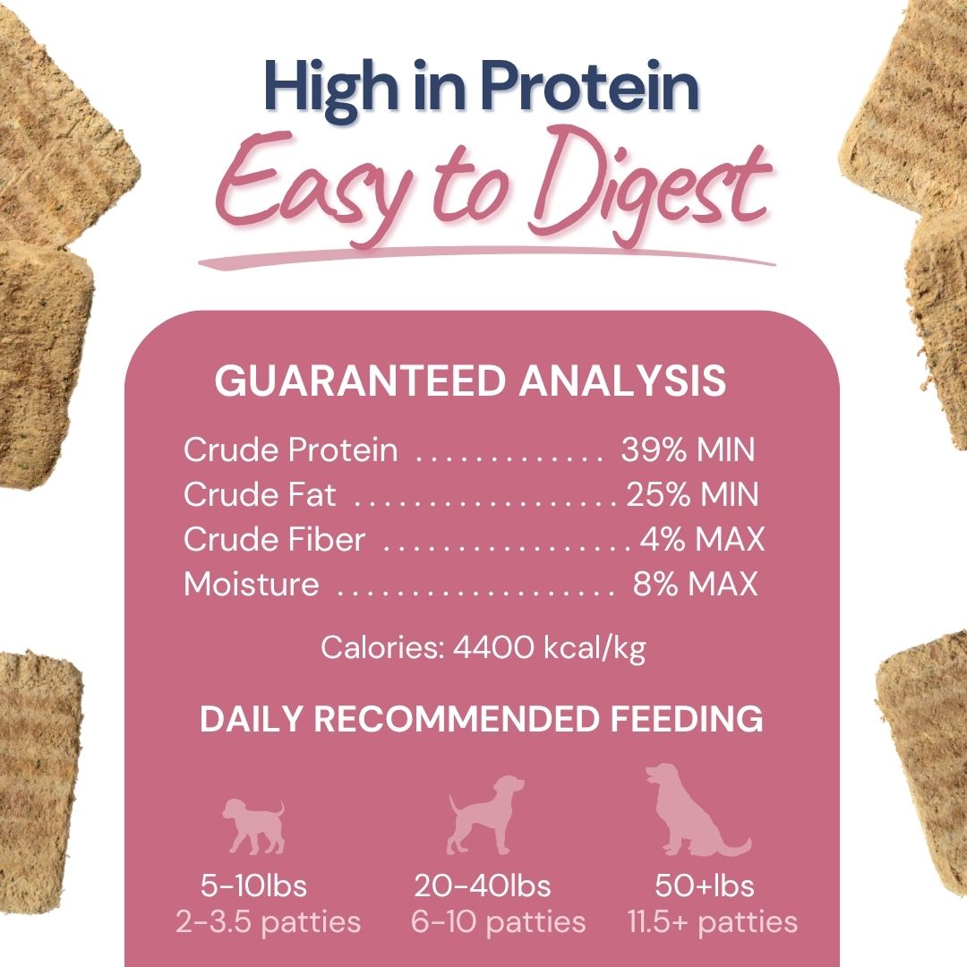 Lamb & Salmon Meal Patties - Dog