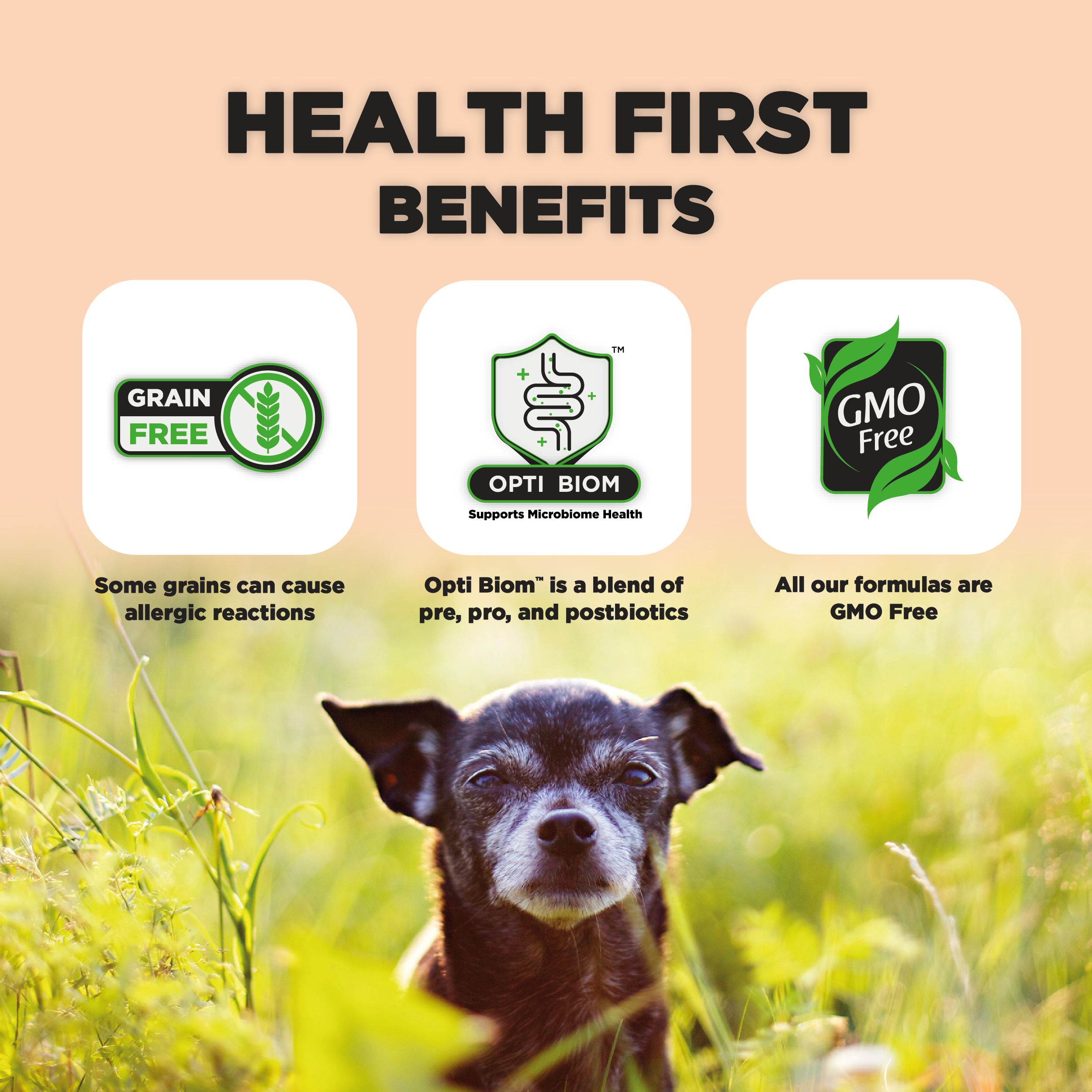 Senior, Dog Food for Toy & Small Breeds (10+ Years) With SRT™