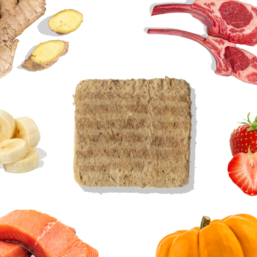 Lamb & Salmon Meal Patties - Dog