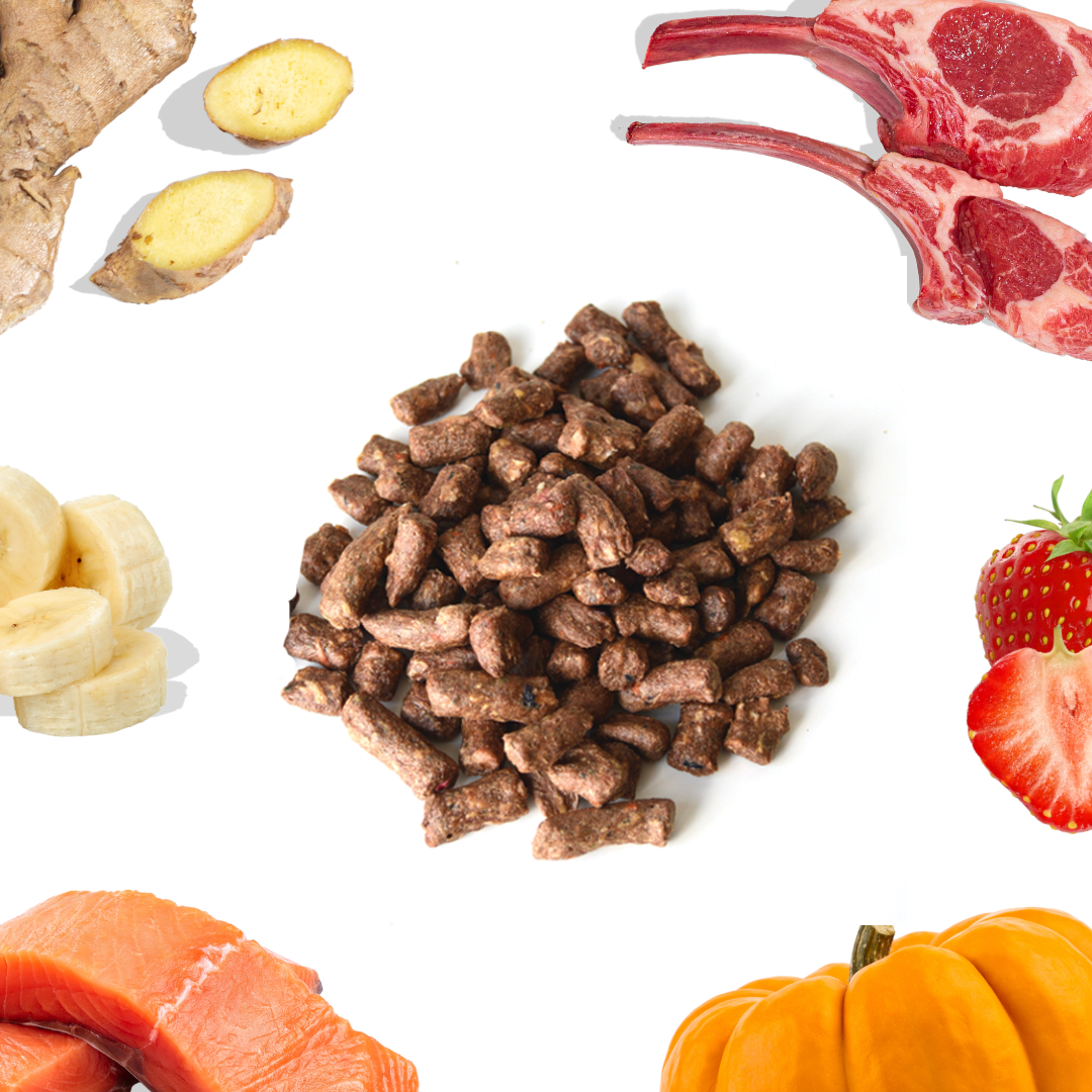 Lamb + Salmon Meal Bites - Dog