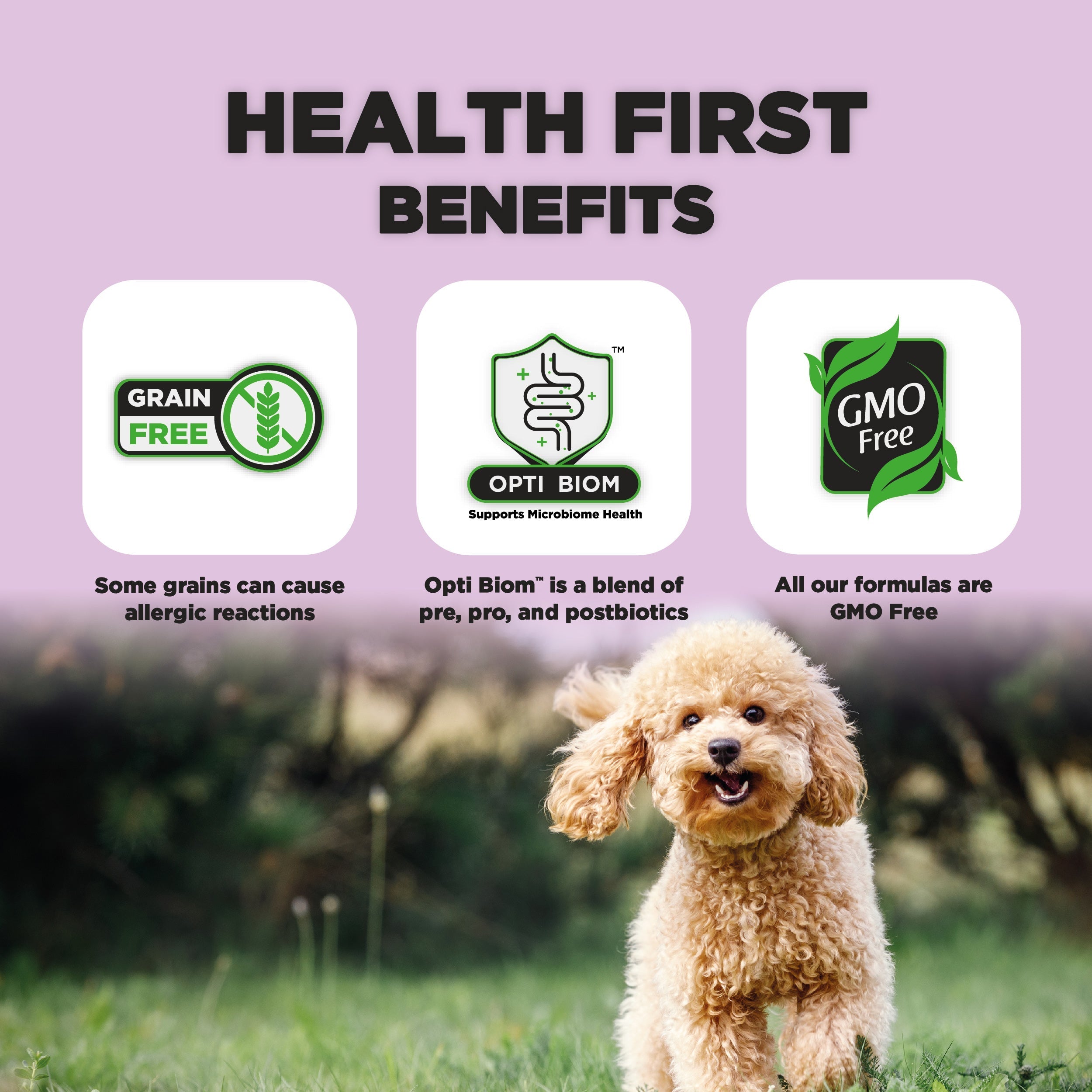 Adult, Dog Food for Toy & Small Breeds, (1-10 Years) With SRT™