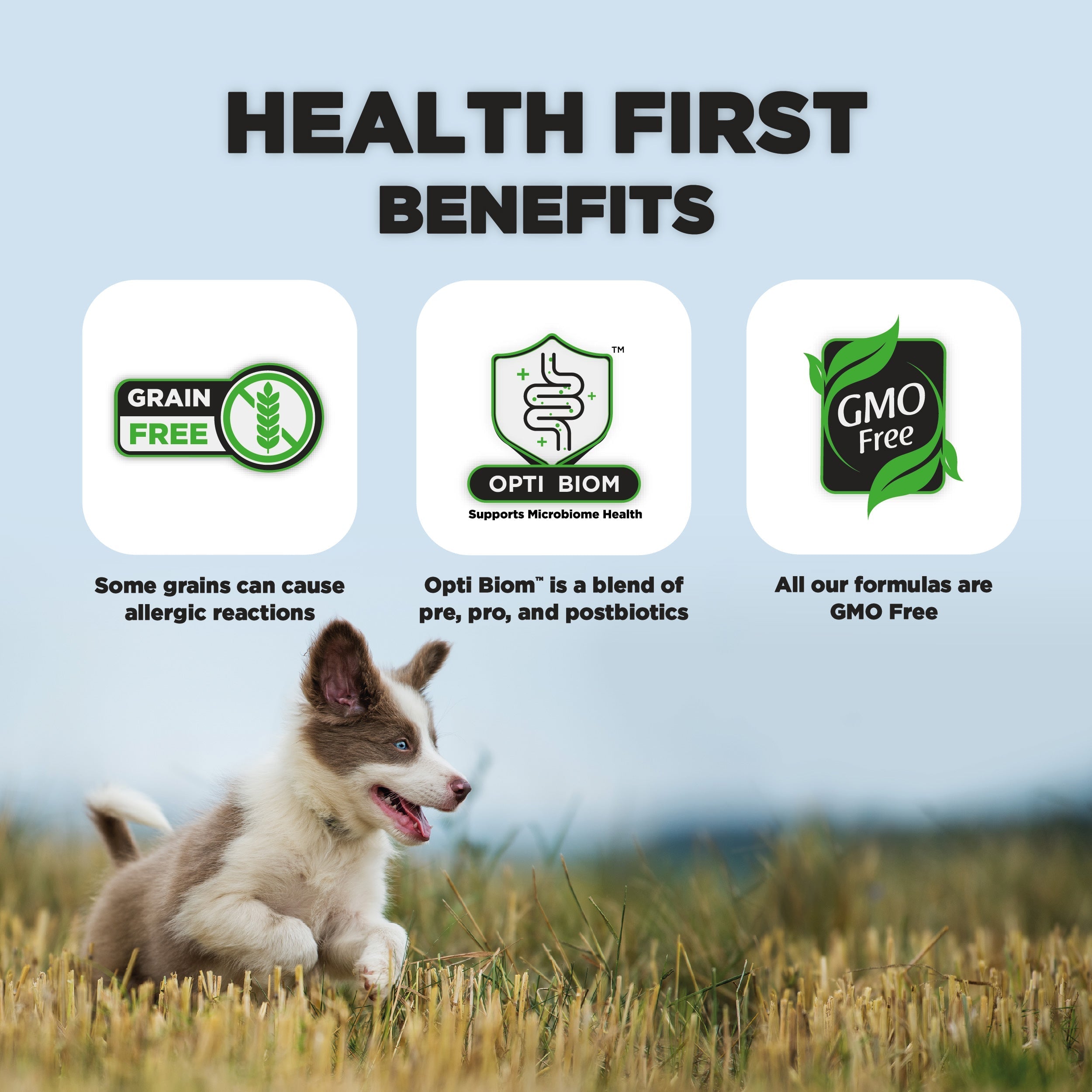 Junior, Dog Food for Medium & Large Breeds (First Year) With SRT™