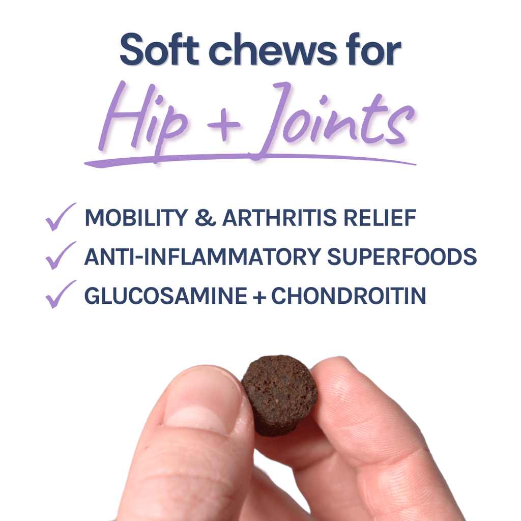 Beef Joint Booster Dog Topper