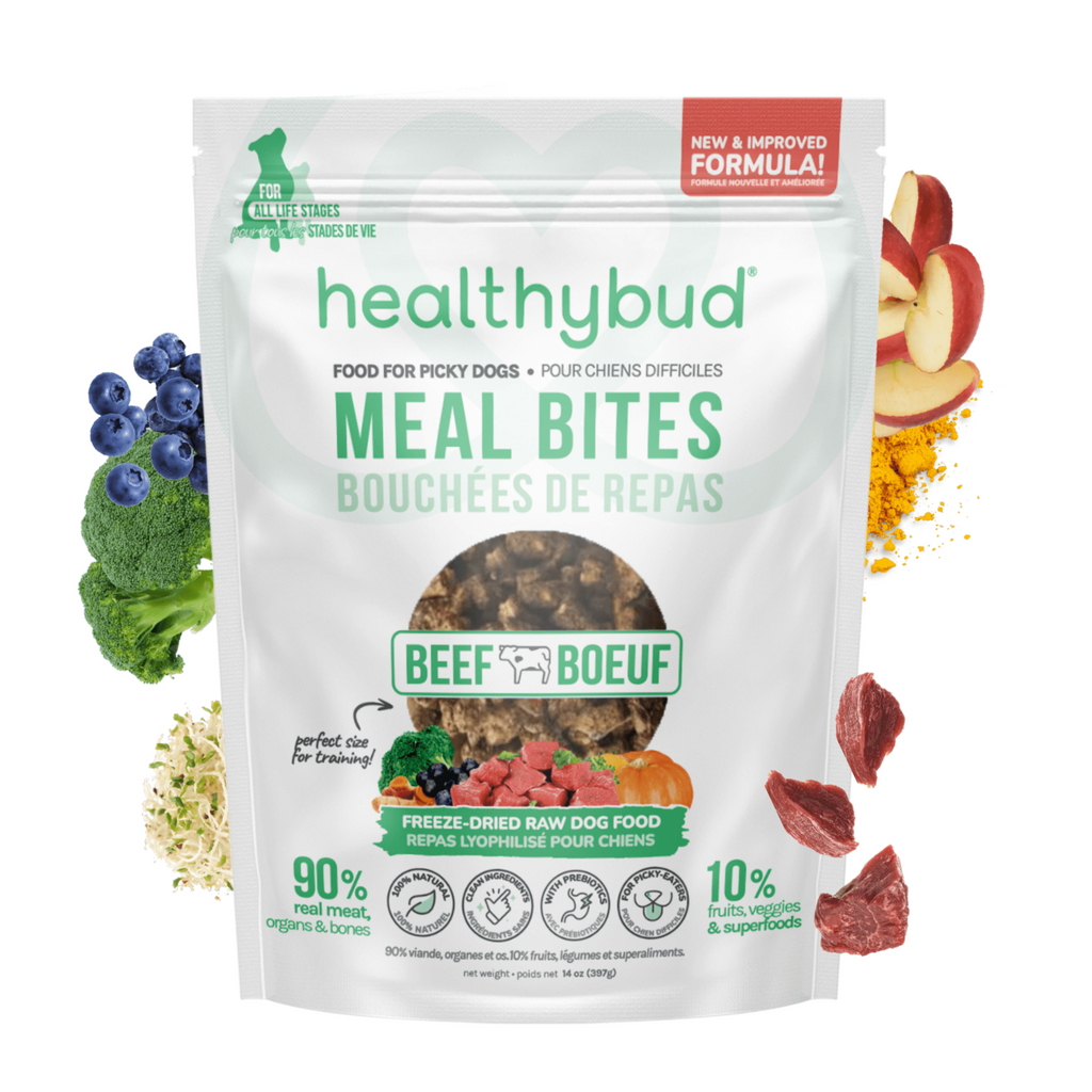 Beef Meal Bites - Dog