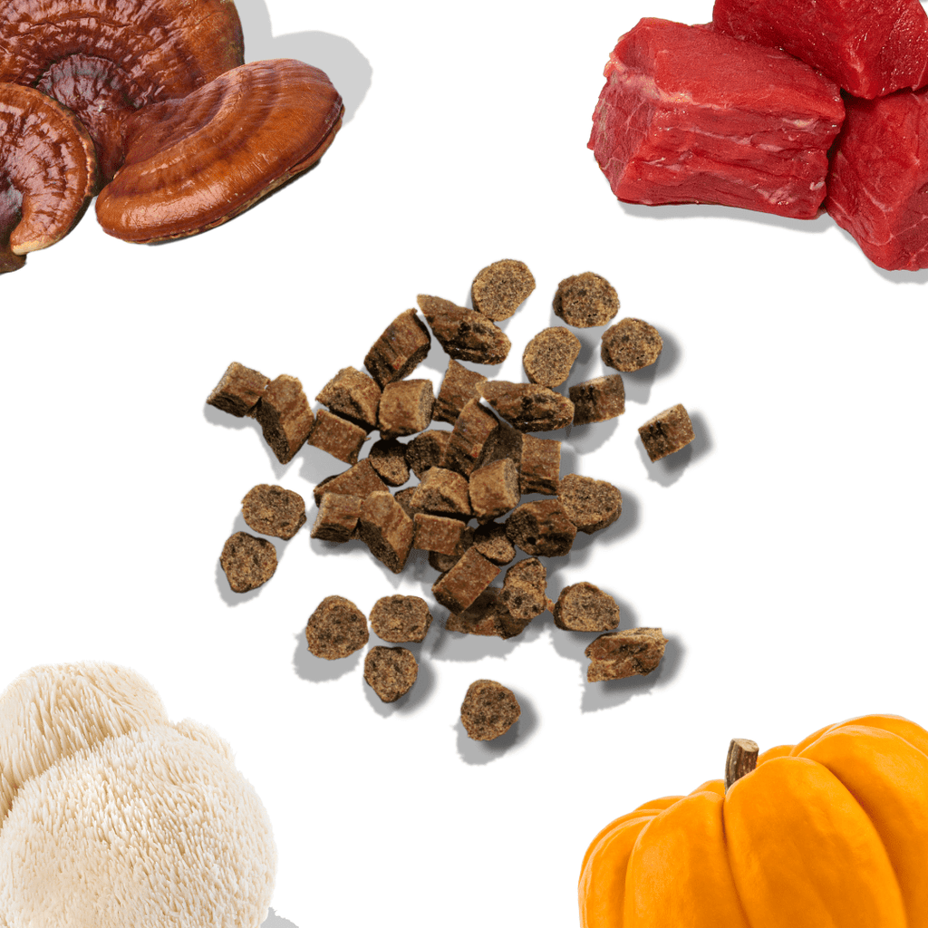 Beef Mini Training Dog Treats