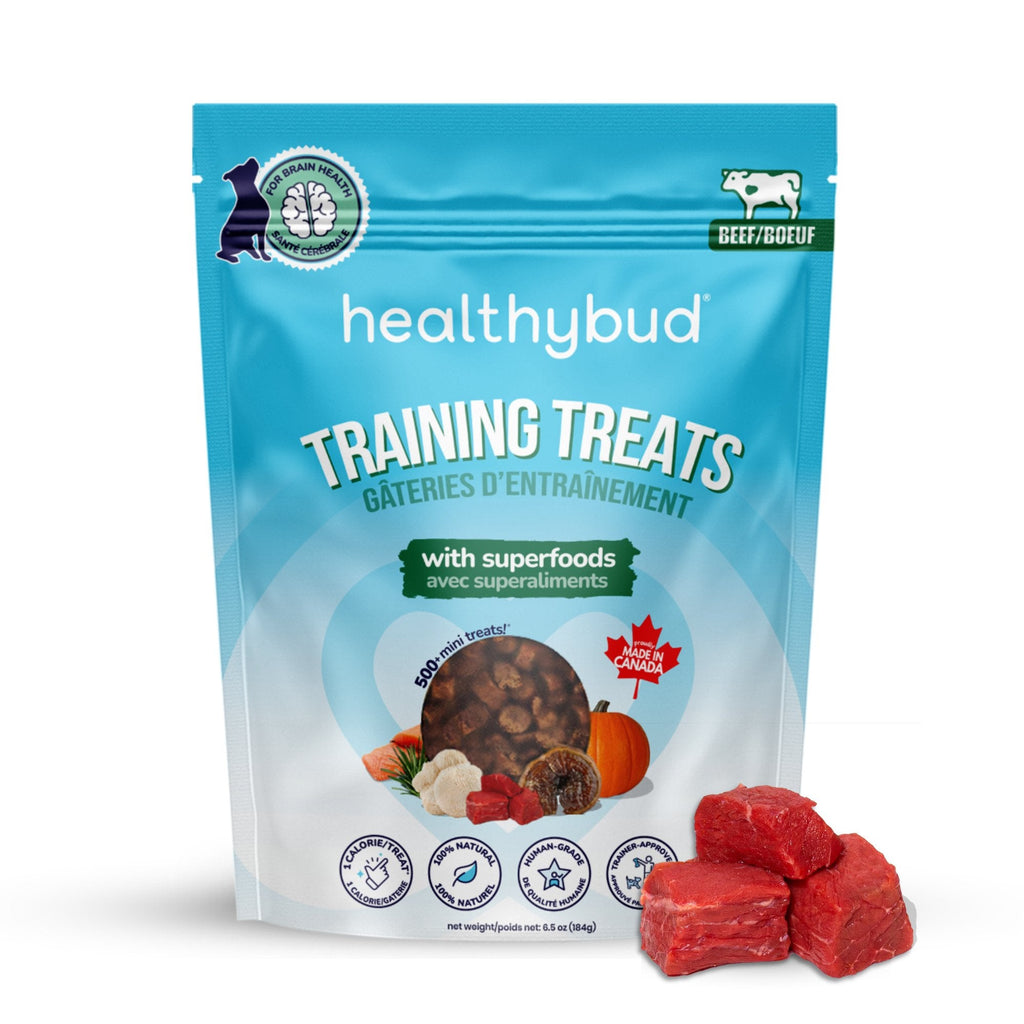 Beef Mini Training Dog Treats