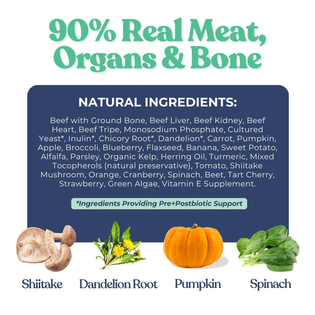 Beef Meal Bites - Dog