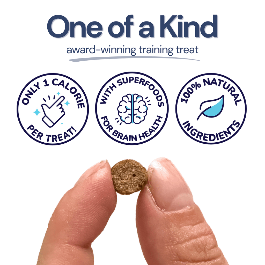 Salmon Mini Training Dog Treats