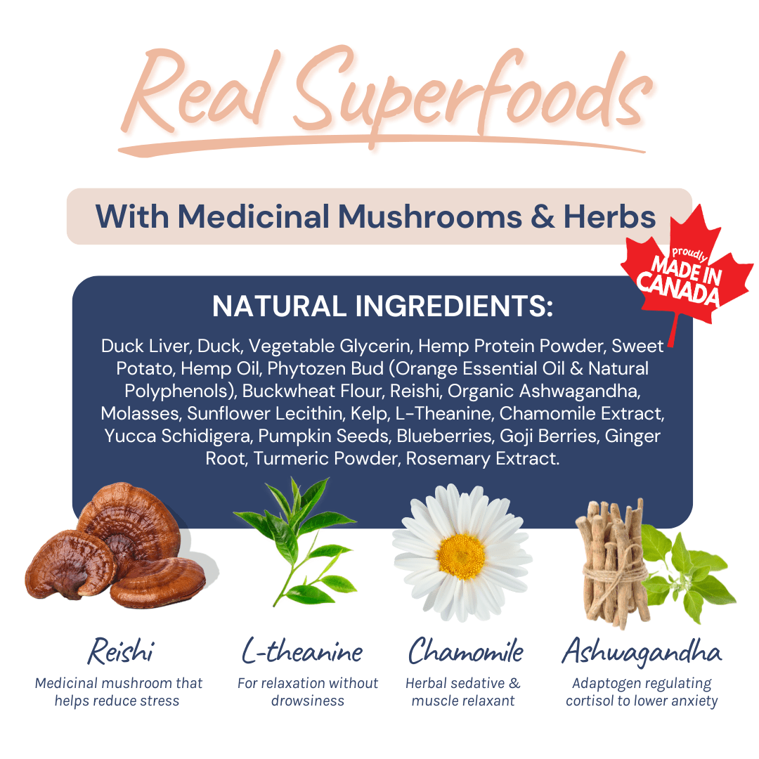 Duck Calming Aid Dog Topper