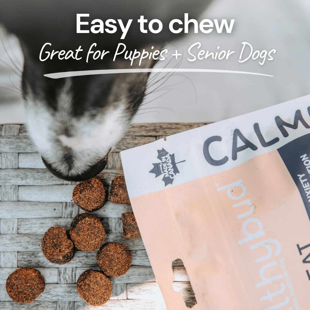 Duck Calming Aid Dog Topper