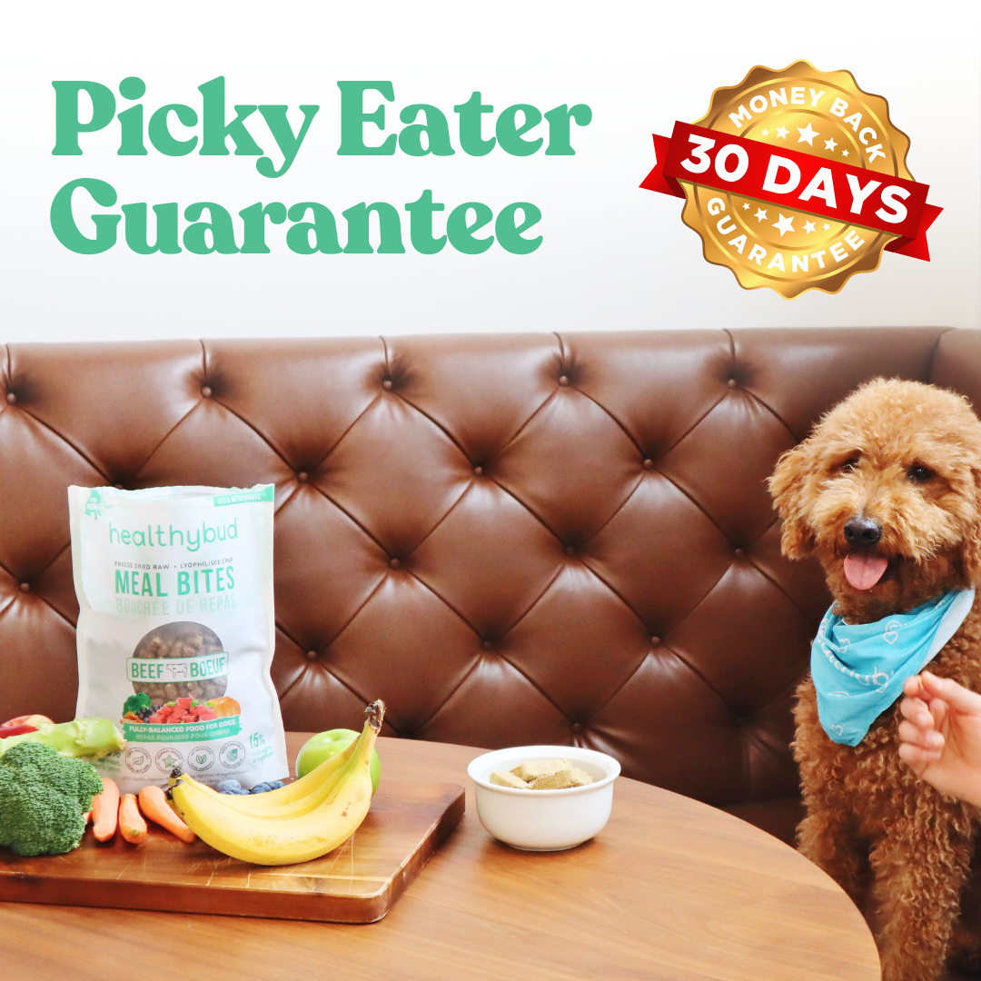 Beef Meal Bites - Dog