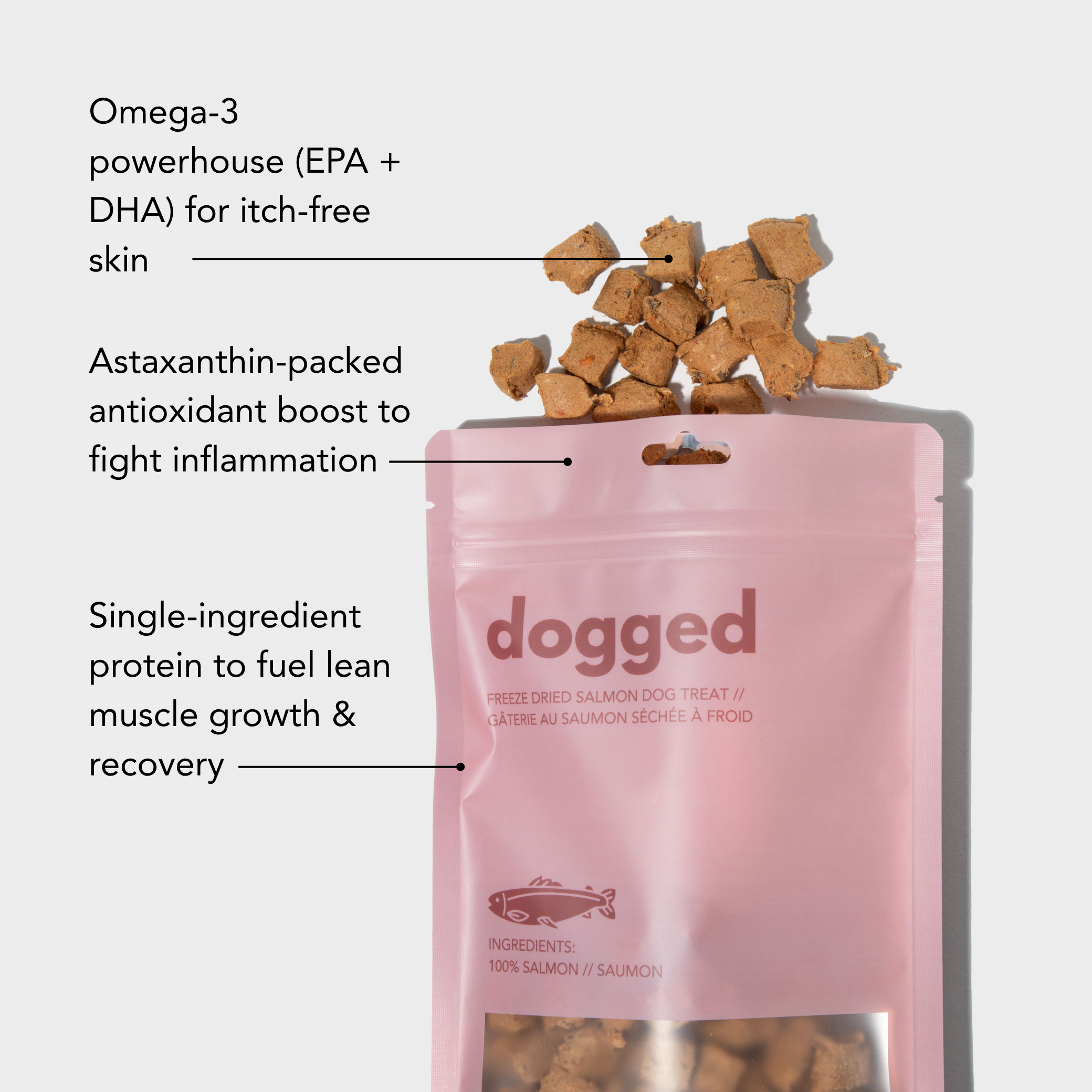 Freeze dried salmon DOG treats