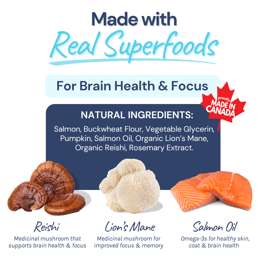 Salmon Mini Training Dog Treats