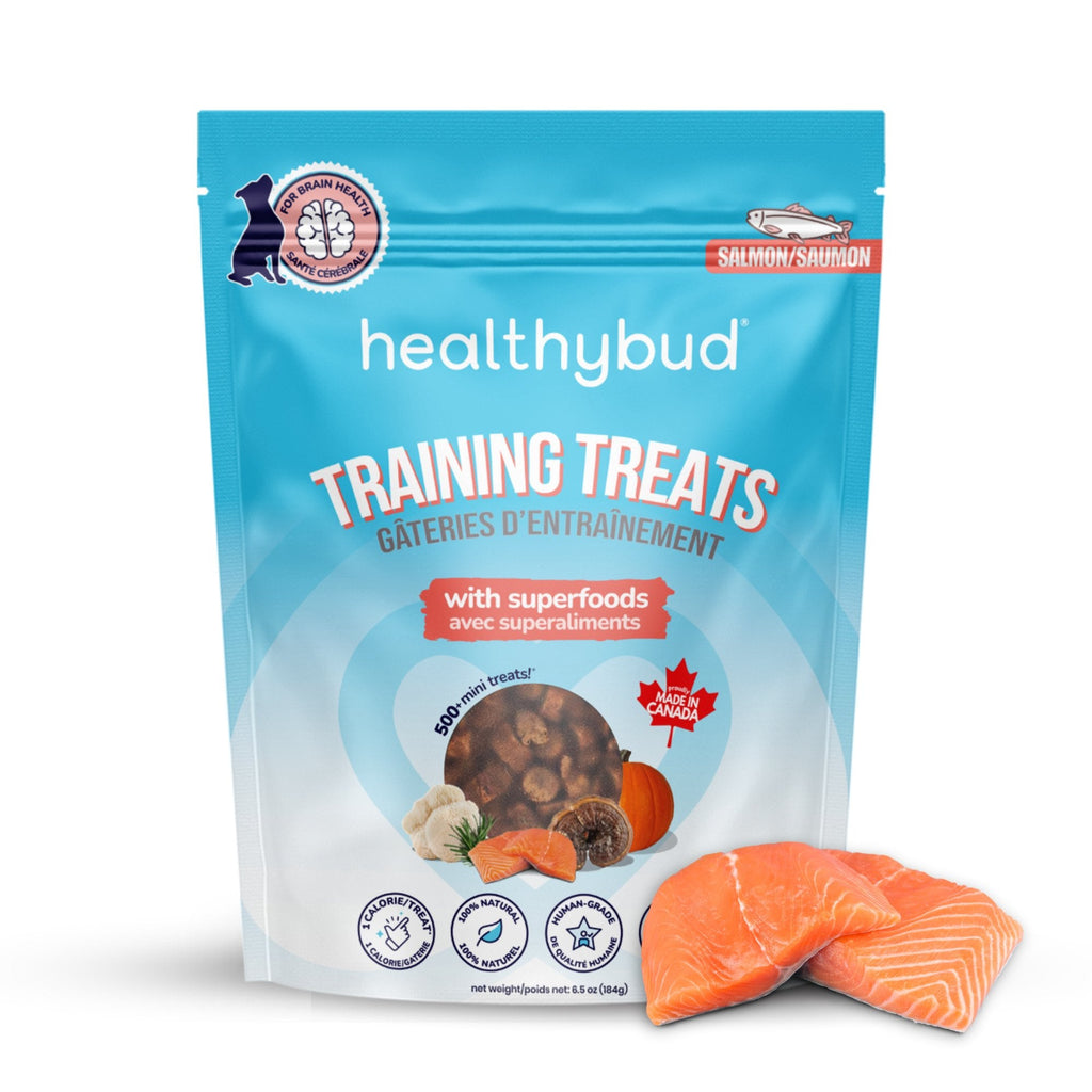 Salmon Mini Training Dog Treats