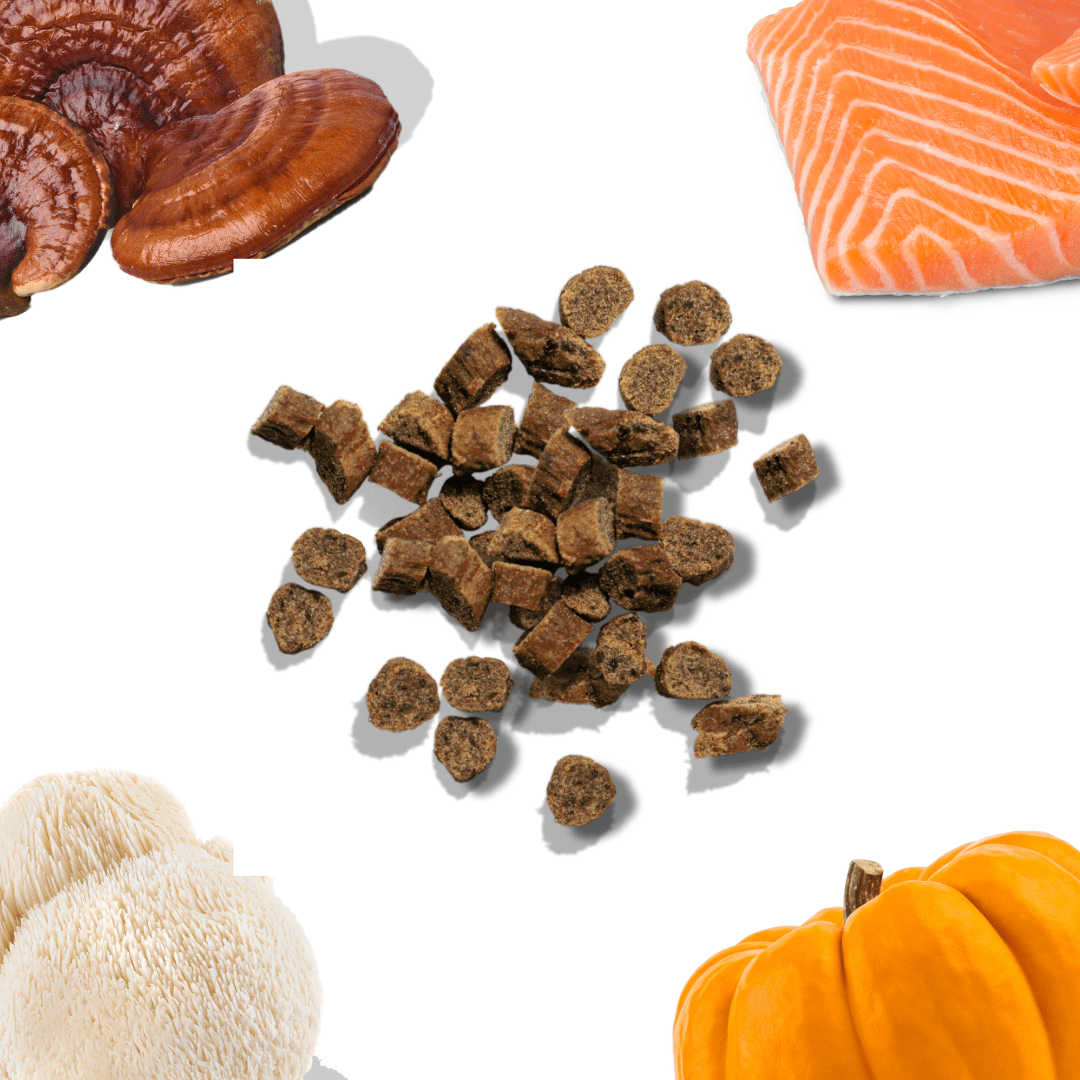 Salmon Mini Training Dog Treats