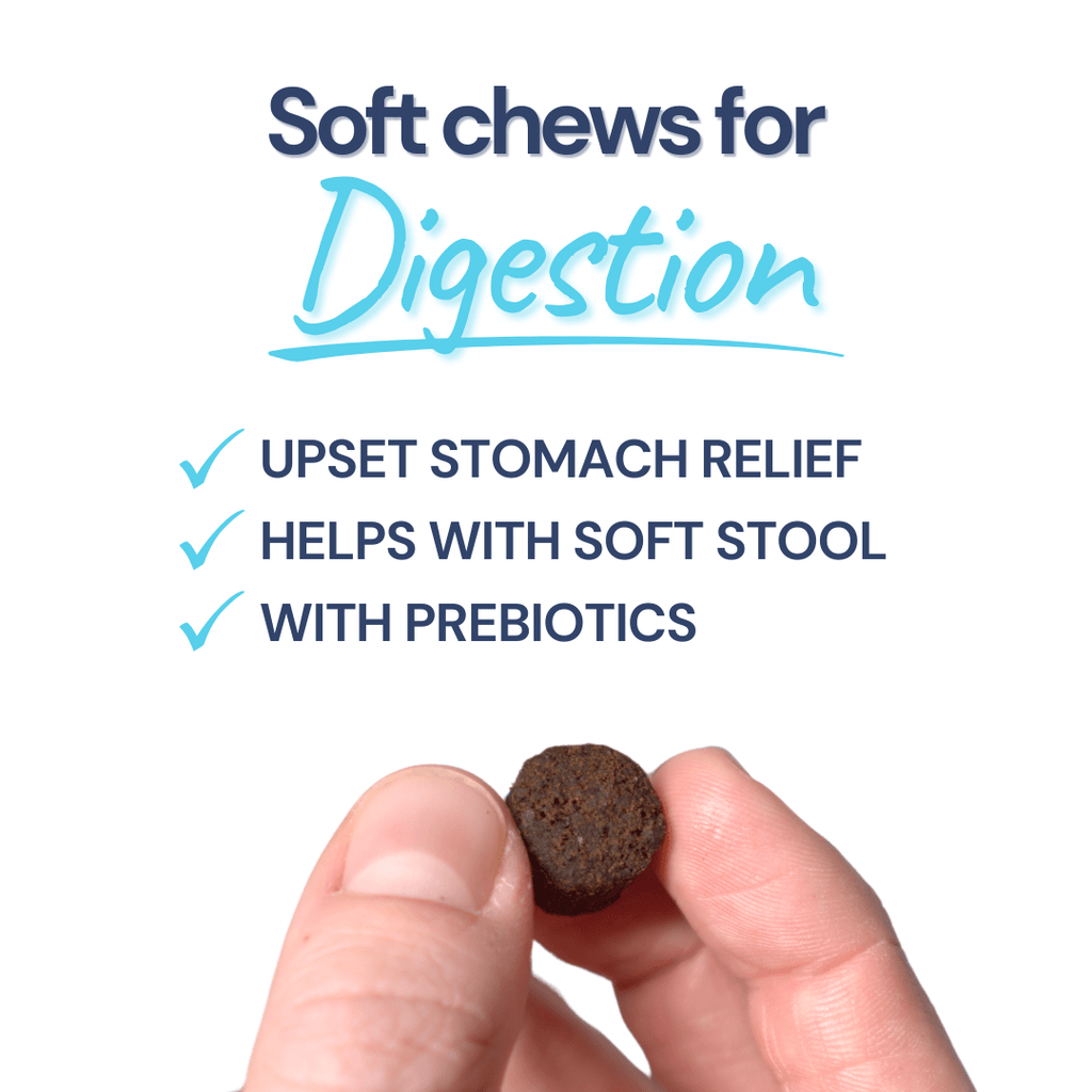 Turkey Gut Booster Dog Topper