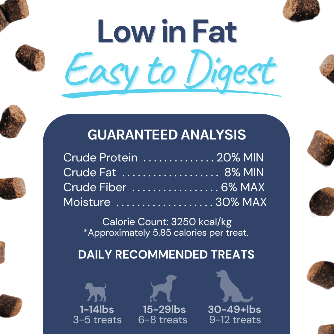 Turkey Gut Booster Dog Topper