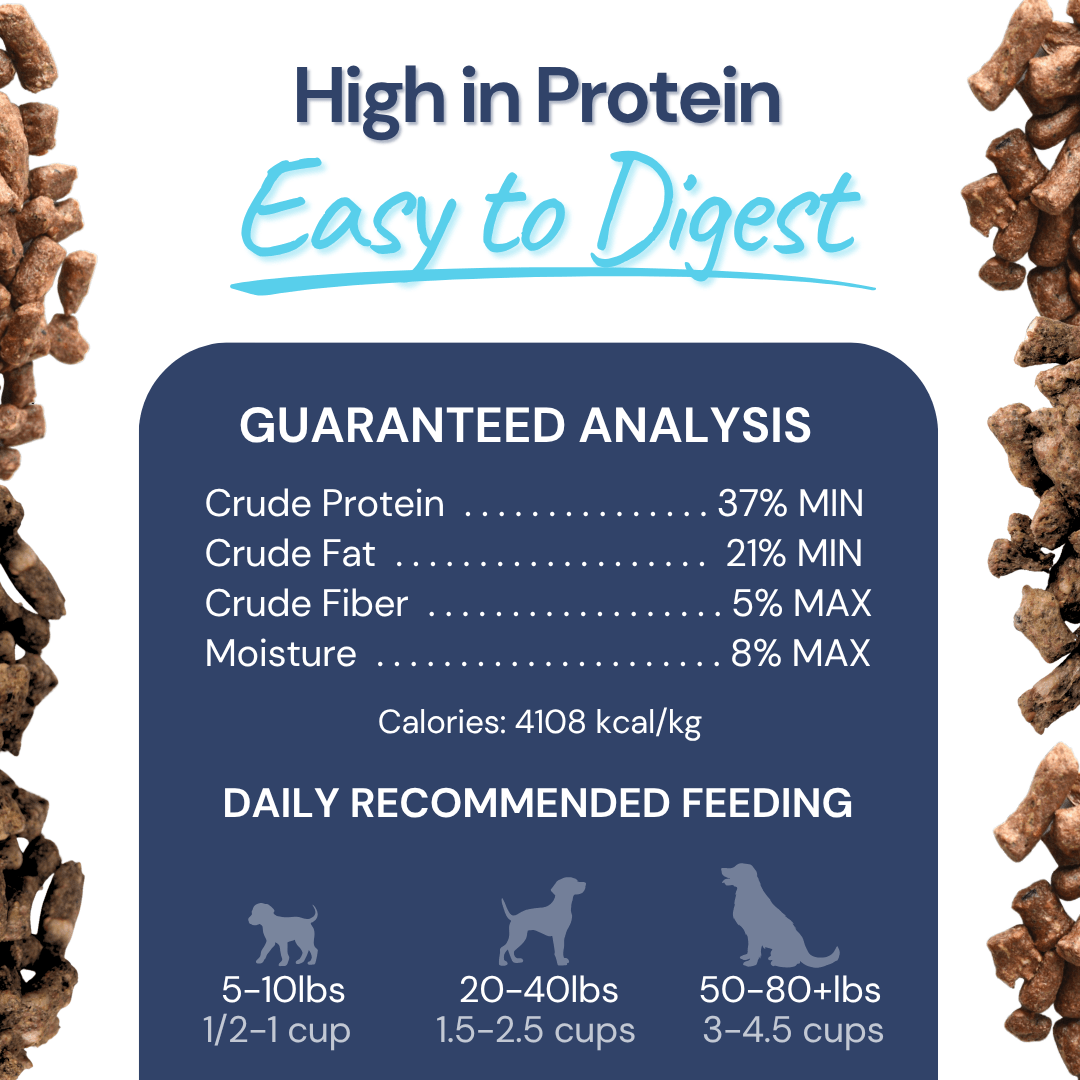 Turkey Meal Bites - Dog