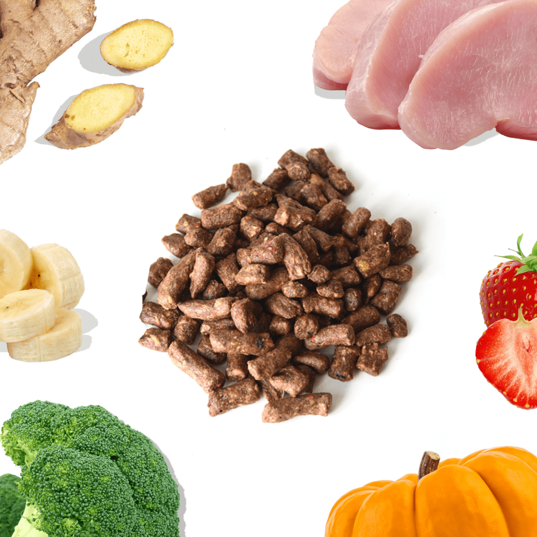 Turkey Meal Bites - Dog