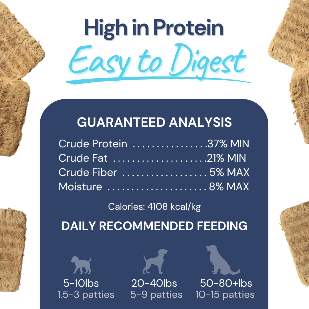 Turkey Meal Patties  - Dog