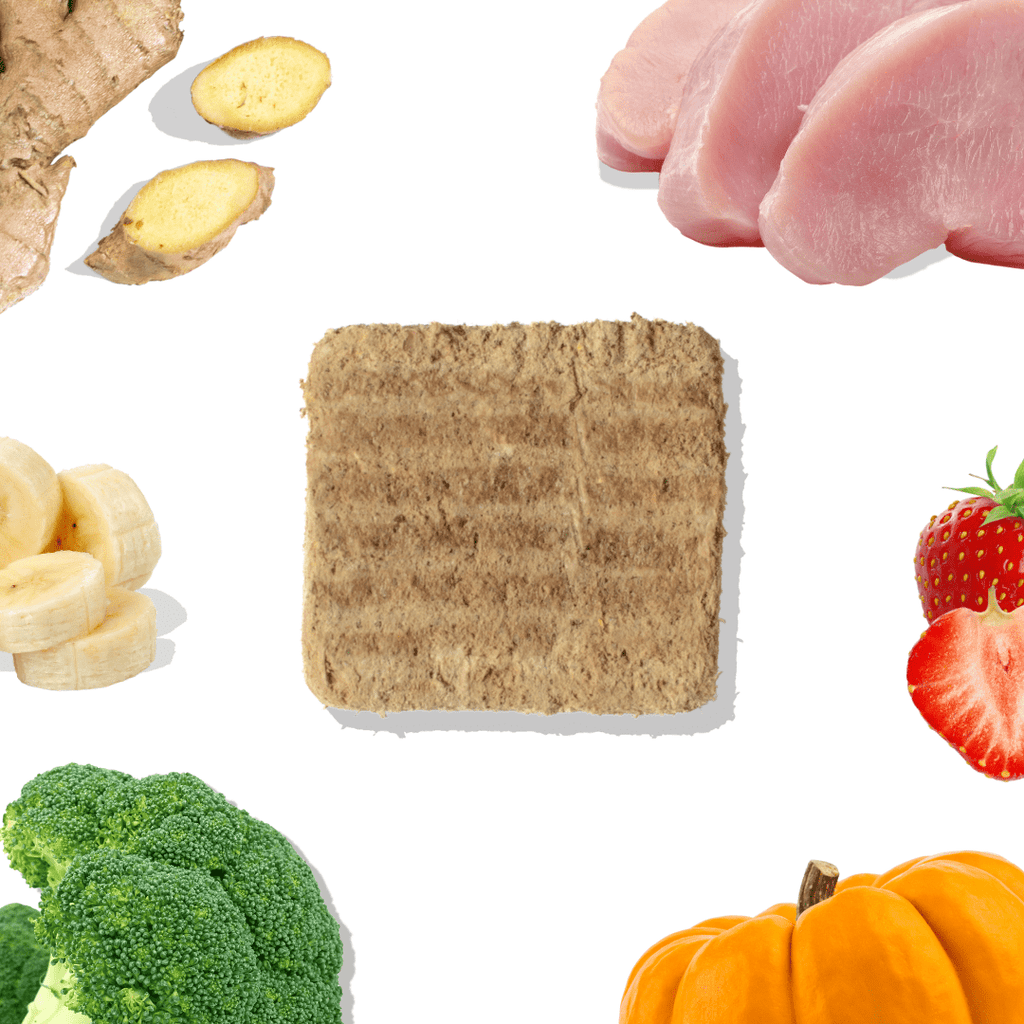 Turkey Meal Patties  - Dog