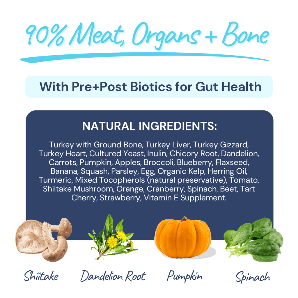 Turkey Meal Bites - Dog