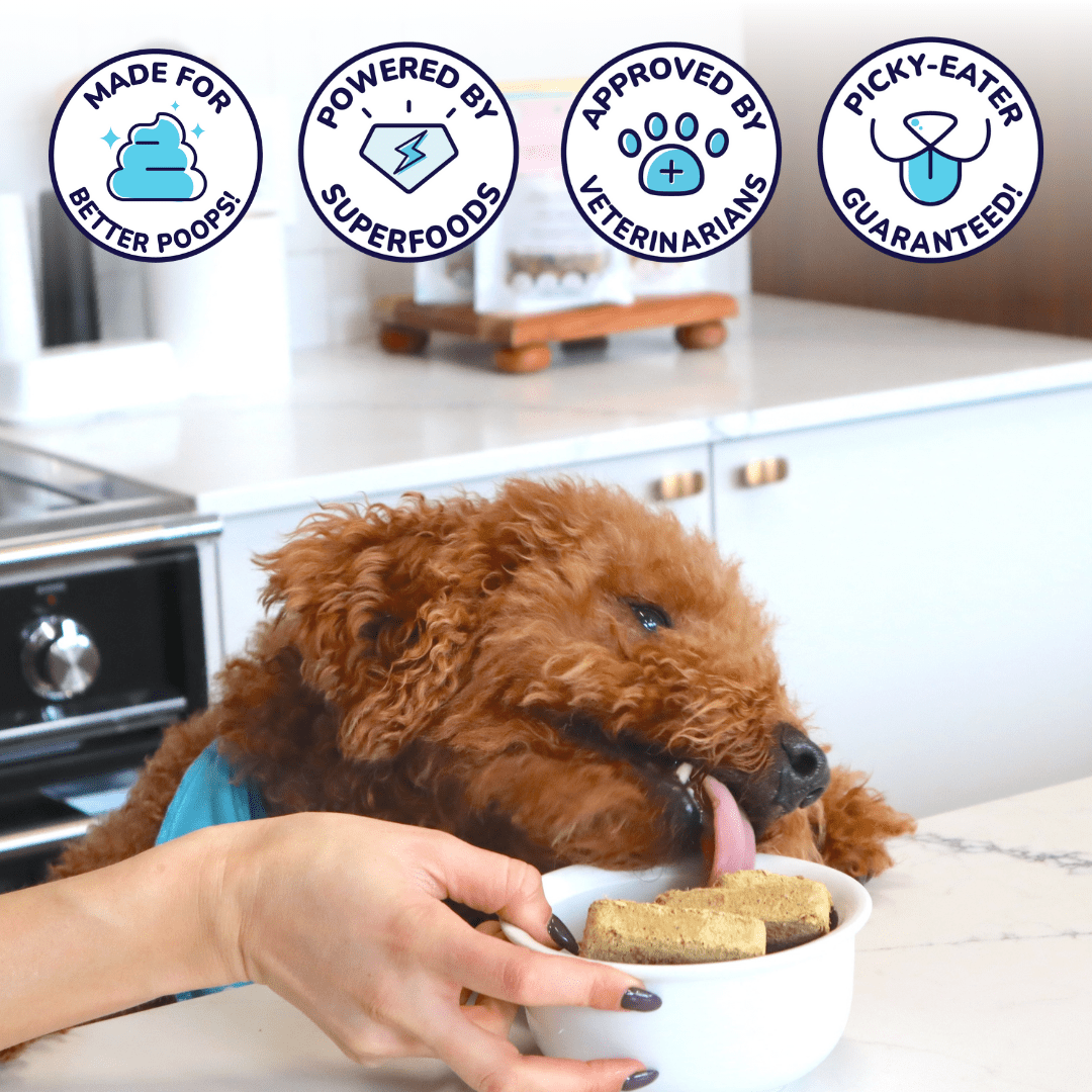 Turkey Meal Patties  - Dog